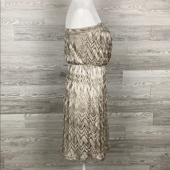 NWT Studio Y Silver Tan StrapLess Dress - Picture 3 of 7